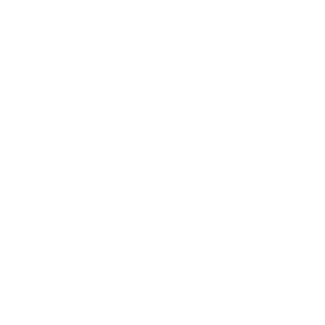 Safety Schemes in Procurement Logo